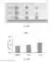 Fig. 08 - DRUG COMPOSITION FOR TREATING TUMORS AND APPLICATION THEREOF