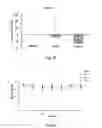 Fig. 09 - DRUG COMPOSITION FOR TREATING TUMORS AND APPLICATION THEREOF