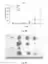 Fig. 10 - DRUG COMPOSITION FOR TREATING TUMORS AND APPLICATION THEREOF
