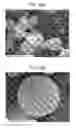 Fig. 27 - PVAX copolymer and PVAX microparticles comprising the same