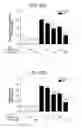 Fig. 33 - PVAX copolymer and PVAX microparticles comprising the same