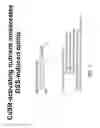 Fig. 04 - Materials and methods for prevention and treatment of diarrhea and inflammation in the gastrointestinal tract
