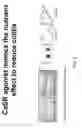 Fig. 06 - Materials and methods for prevention and treatment of diarrhea and inflammation in the gastrointestinal tract