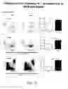 Fig. 12 - Materials and methods for prevention and treatment of diarrhea and inflammation in the gastrointestinal tract