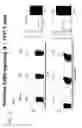 Fig. 16 - Materials and methods for prevention and treatment of diarrhea and inflammation in the gastrointestinal tract
