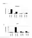 Fig. 06 - Differentiation of human embryonic stem cells