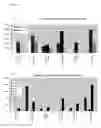 Fig. 43 - Differentiation of human embryonic stem cells