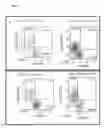 Fig. 44 - Differentiation of human embryonic stem cells