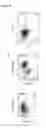 Fig. 49 - Differentiation of human embryonic stem cells