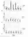 Fig. 08 - SYNBIOTIC COMPOSITION AND USE THEREOF