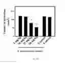 Fig. 07 - PHARMACEUTICAL COMPOSITION FOR PREVENTING/TREATING BRAIN INJURY AND ENHANCING RECOVERY OF SEQUELAE AND MANUFACTURE THEREOF