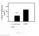 Fig. 09 - PHARMACEUTICAL COMPOSITION FOR PREVENTING/TREATING BRAIN INJURY AND ENHANCING RECOVERY OF SEQUELAE AND MANUFACTURE THEREOF
