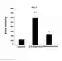 Fig. 09 - Methods of treating muscular dystrophy