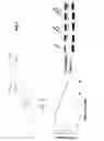 Fig. 10 - Methods of treating muscular dystrophy