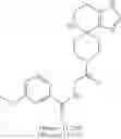 Fig. 135 - Methods of treating muscular dystrophy