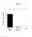 Fig. 23 - Methods of treating muscular dystrophy