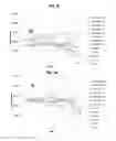 Fig. 25 - Methods of treating muscular dystrophy