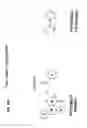 Fig. 28 - Methods of treating muscular dystrophy
