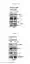 Fig. 08 - Administration method for anticancer drugs