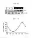 Fig. 09 - Administration method for anticancer drugs