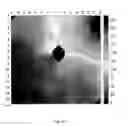 Fig. 08 - LIGHT-SENSITIVE PUMPS FOR SUPPRESSION OF CARDIAC ACTIVITY