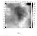 Fig. 09 - LIGHT-SENSITIVE PUMPS FOR SUPPRESSION OF CARDIAC ACTIVITY