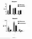 Fig. 02 - Pharmaceutical composition for use in the treatment of dysfunction associated with aging