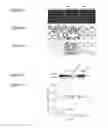 Fig. 09 - RNA WITH A COMBINATION OF UNMODIFIED AND MODIFIED NUCLEOTIDES FOR PROTEIN EXPRESSION