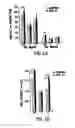 Fig. 02 - METHODS OF ENHANCING FUNCTIONING OF THE LARGE INTESTINE