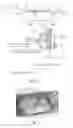 Fig. 02 - HSV-1 and HSV-2 vaccines and methods of use thereof