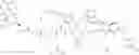 Fig. 69 - Somatostatin-dopamine chimeric analogs