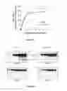 Fig. 06 - TARGETED IDURONATE-2-SULFATASE COMPOUNDS