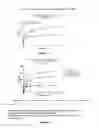 Fig. 20 - TARGETED IDURONATE-2-SULFATASE COMPOUNDS