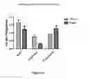 Fig. 28 - TARGETED IDURONATE-2-SULFATASE COMPOUNDS