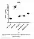 Fig. 42 - TARGETED IDURONATE-2-SULFATASE COMPOUNDS