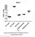 Fig. 43 - TARGETED IDURONATE-2-SULFATASE COMPOUNDS