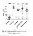 Fig. 44 - TARGETED IDURONATE-2-SULFATASE COMPOUNDS
