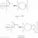 Fig. 46 - TARGETED IDURONATE-2-SULFATASE COMPOUNDS