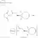 Fig. 51 - TARGETED IDURONATE-2-SULFATASE COMPOUNDS
