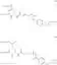 Fig. 30 - DRUG-PROTEIN CONJUGATES