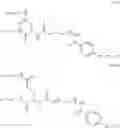 Fig. 35 - DRUG-PROTEIN CONJUGATES