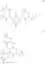 Fig. 56 - DRUG-PROTEIN CONJUGATES