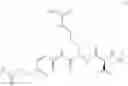 Fig. 60 - DRUG-PROTEIN CONJUGATES