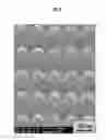 Fig. 07 - Inorganically surface-modified polymers and methods for making and using them