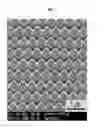 Fig. 09 - Inorganically surface-modified polymers and methods for making and using them