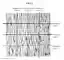 Fig. 06 - ARTIFICIAL DERMIS FOR TRANSPLANTATION AND METHOD FOR PRODUCING SAME