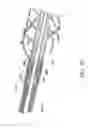Fig. 12 - Sensors for catheter pumps
