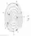 Fig. 09 - RACQUET STRING STRUCTURE WITH CUTTING MARKS