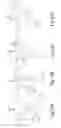 Fig. 44 - Air treatment system