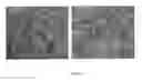 Fig. 02 - Modified thin film composite reverse osmosis membrane and a process for preparation thereof